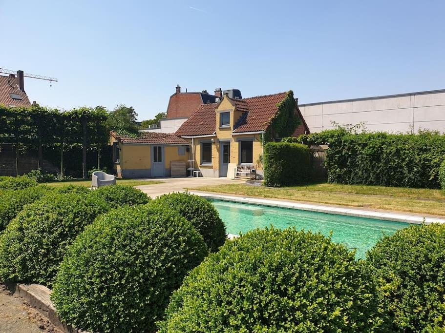 Huyze Lapin Vakantiewoning Brugge Dış mekan fotoğraf